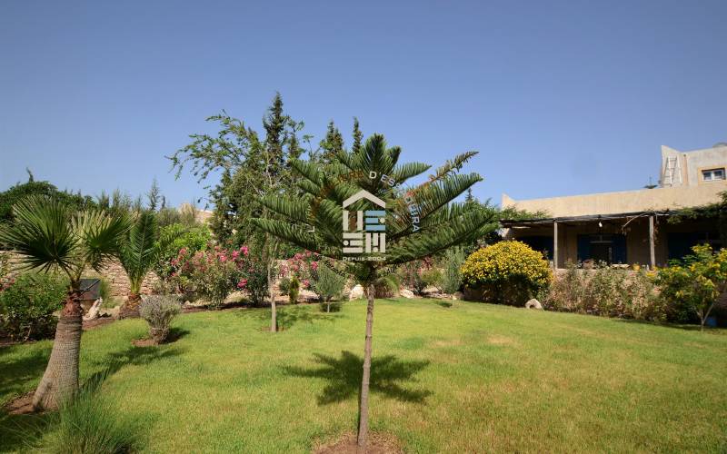 Maison 2 ch LLD - Bouzama (3)